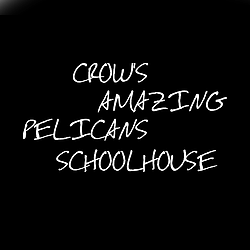 Crow's Amazing Pelicans SchoolHouse